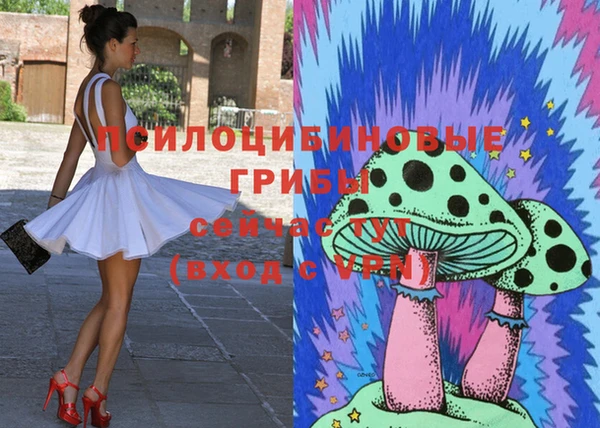 стаф Богородицк