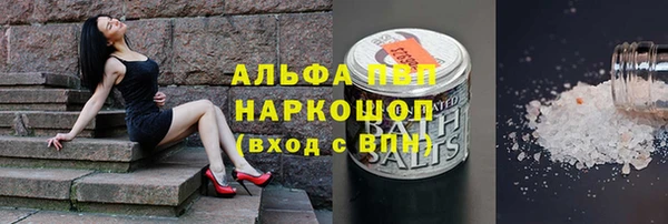стаф Богородицк