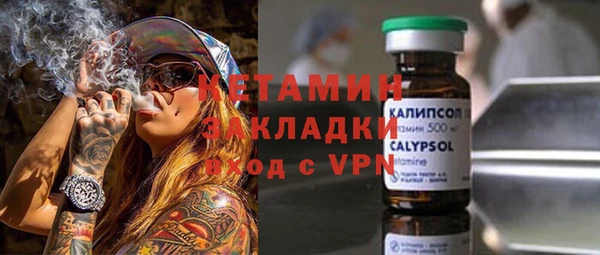 шишки Аркадак
