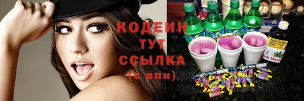 шишки Аркадак