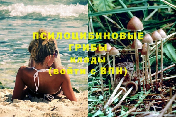 мяу мяу кристалл Богданович